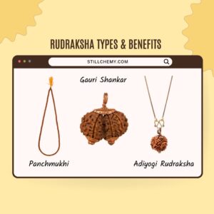 Isha Rudraksha Types Benefits