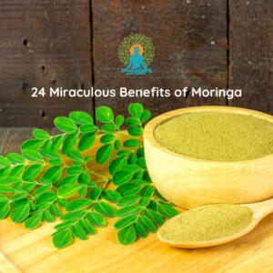 Moringa superfood benefits