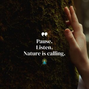 Forest Bathing Benefits
